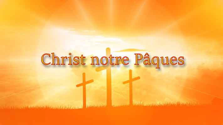 Lire la suite à propos de l’article Christ notre Pâques