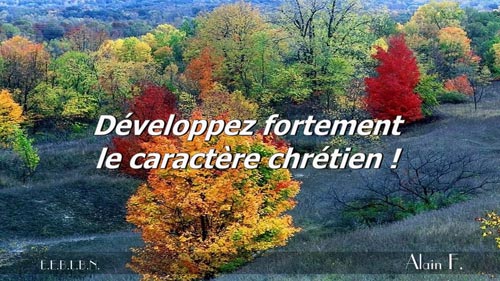 Lire la suite à propos de l’article Développez fortement le caractère chrétien !