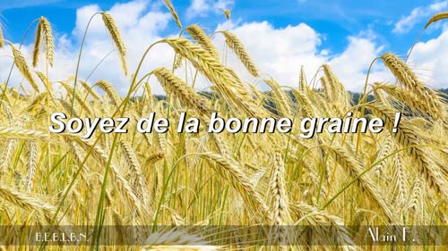 Lire la suite à propos de l’article Soyez de la bonne graine !