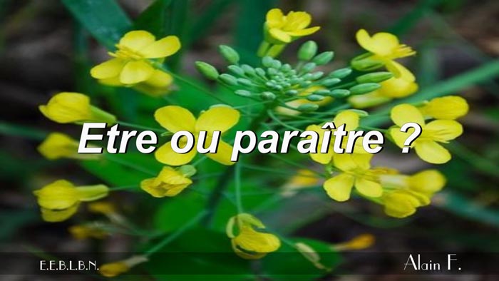 Lire la suite à propos de l’article Être ou paraître ?