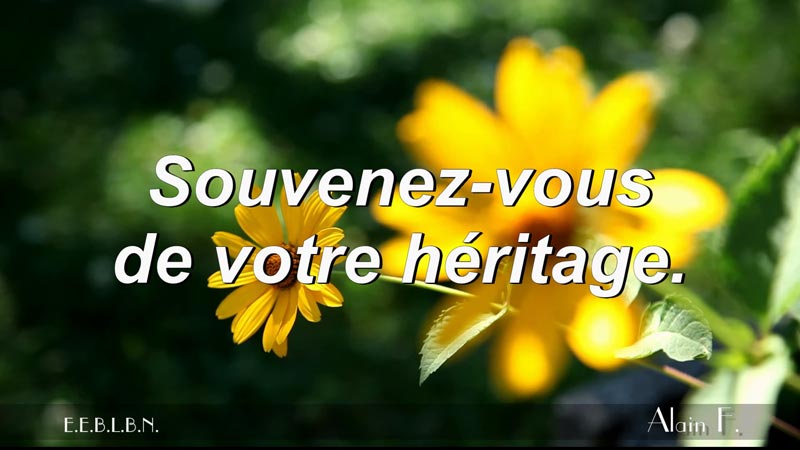 Lire la suite à propos de l’article Souvenez-vous de votre héritage.