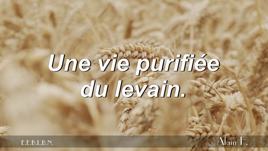 Lire la suite à propos de l’article Une vie purifiée du levain.