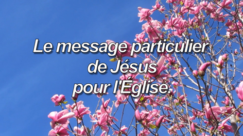 Read more about the article Le message particulier de Jésus pour l’Église.