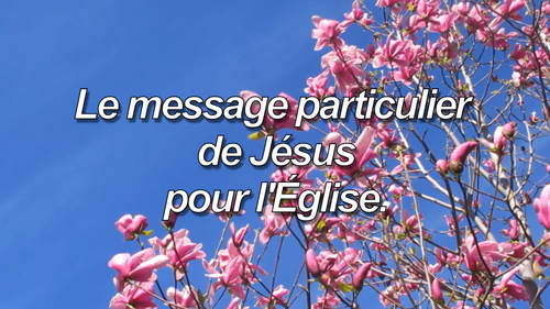 Lire la suite à propos de l’article Le message particulier de Jésus pour l’Église.