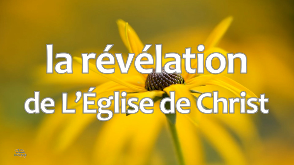 Lire la suite à propos de l’article la révélation de L’Église de Christ.