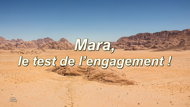 Lire la suite à propos de l’article Mara, le test de l’engagement !