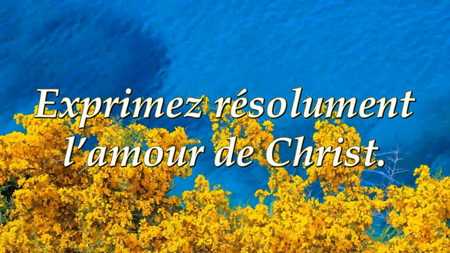 Lire la suite à propos de l’article Exprimez résolument l’amour de Christ.