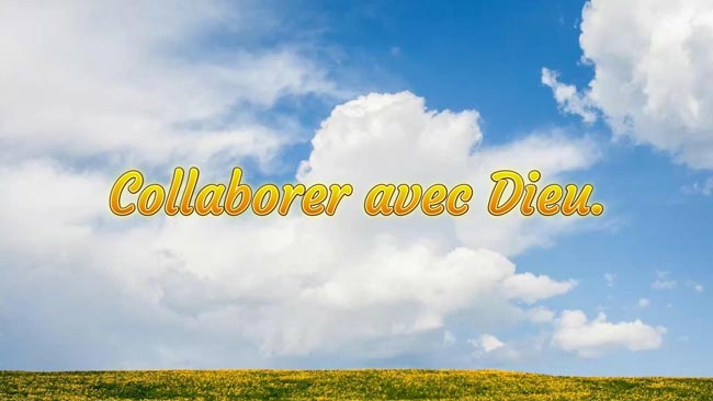 Lire la suite à propos de l’article Collaborer avec Dieu.