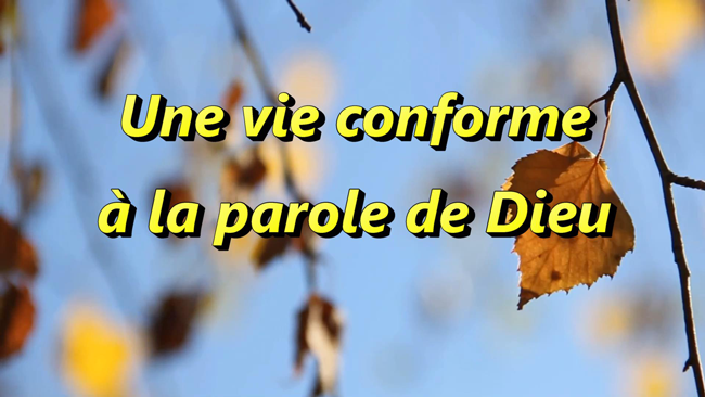 Lire la suite à propos de l’article Une vie conforme à la parole de Dieu.