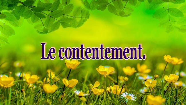 Lire la suite à propos de l’article Le contentement.